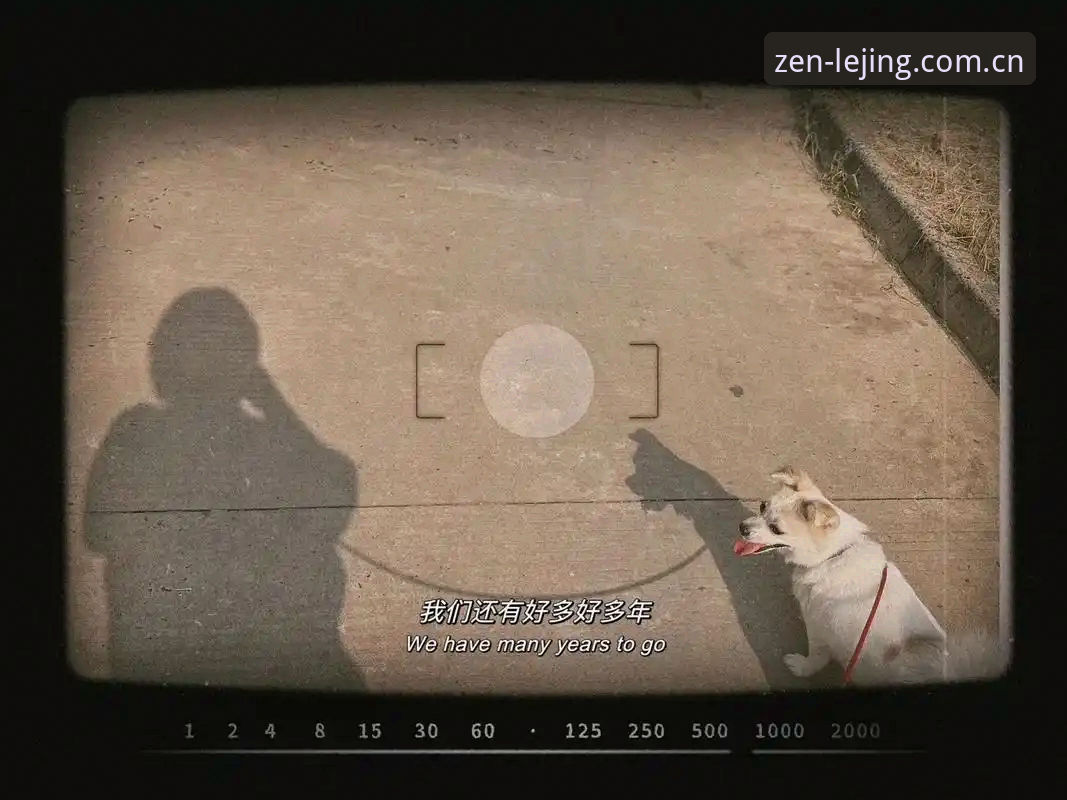 下午三点多，郑宇放下手机，揉了揉有些发酸的眼睛。他刚在乐竞体育中国首页上确认完今晚两场赛事的首发名单，又顺手翻了翻赛前数据的对比曲线，前后不到十分钟，所有需要的信息都以清晰的模块陈列在眼前。他想起早些年找类似信息时的情形——浏览器里躺着十几个标签页，不同站点来回切换，有些页面甚至要刷新三遍才能加载出完整的图表。这种从分散到聚合的体验变化，恰好折射出整个行业正在发生的深层转向。